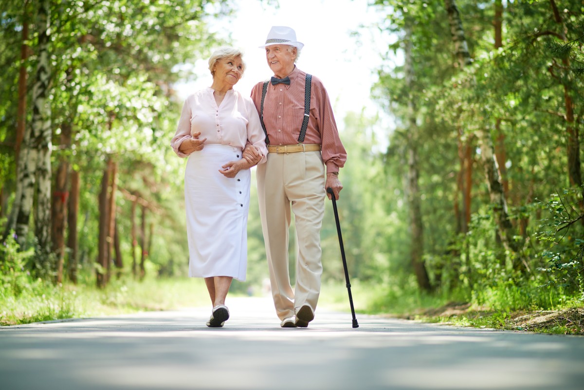 Pensioni