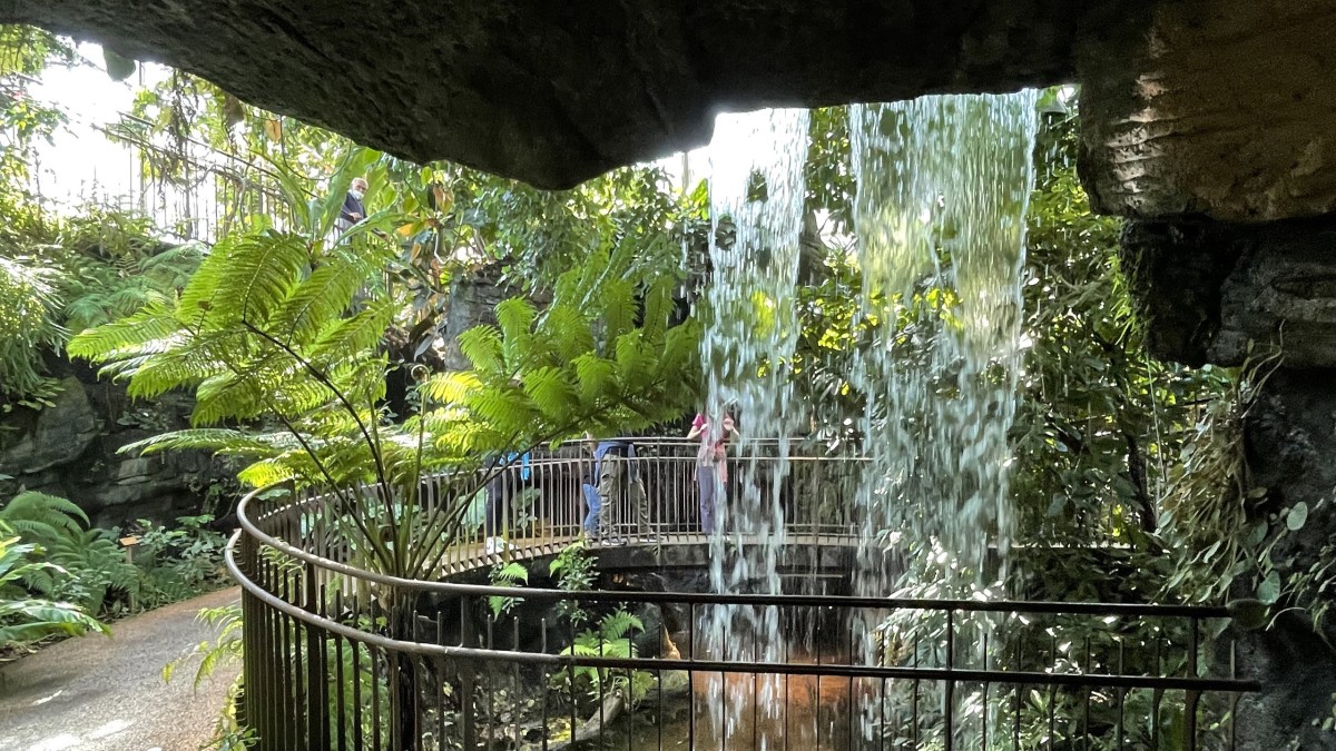 cosa vedere al muse di trento