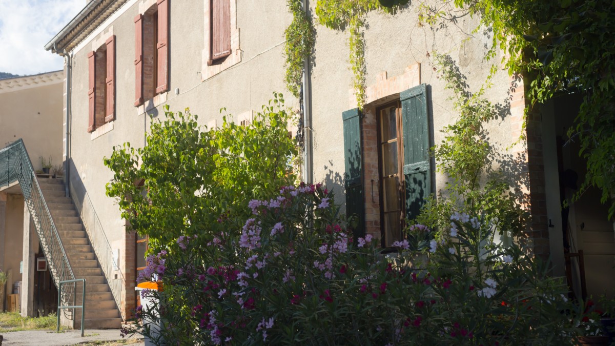 piante per ingresso esterno