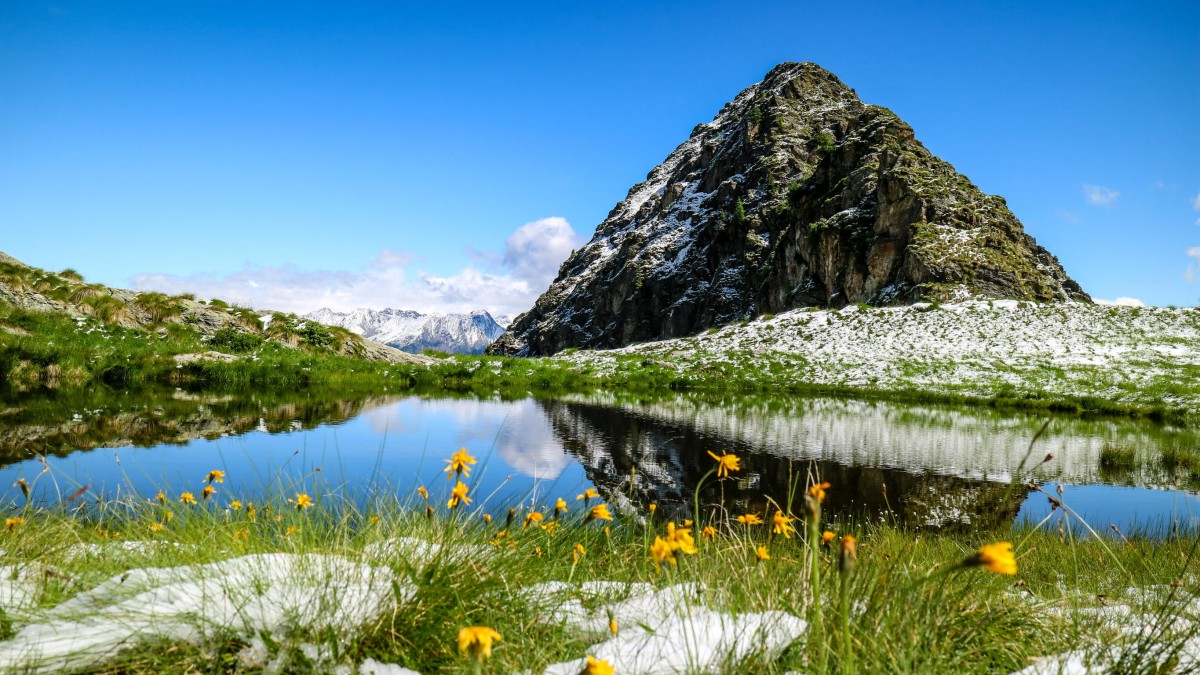 vivere ad aprica