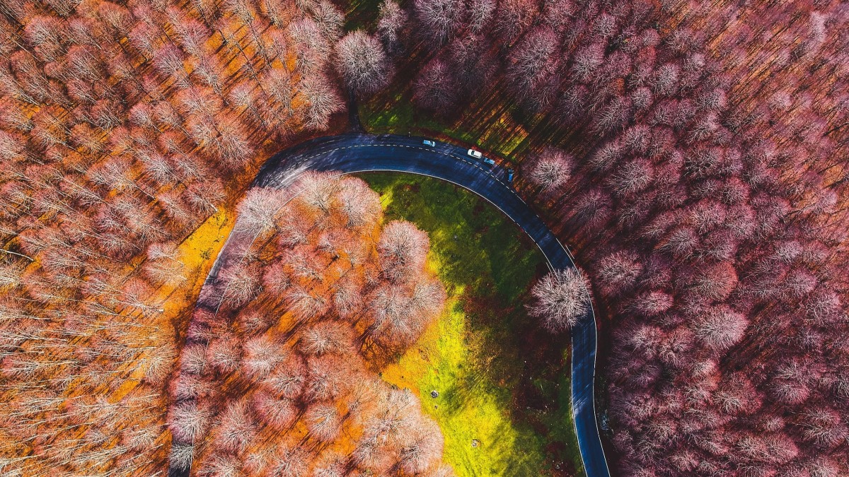 cosa vedere al monte livata