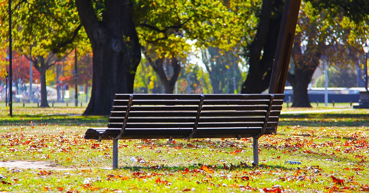 Parco cittadino