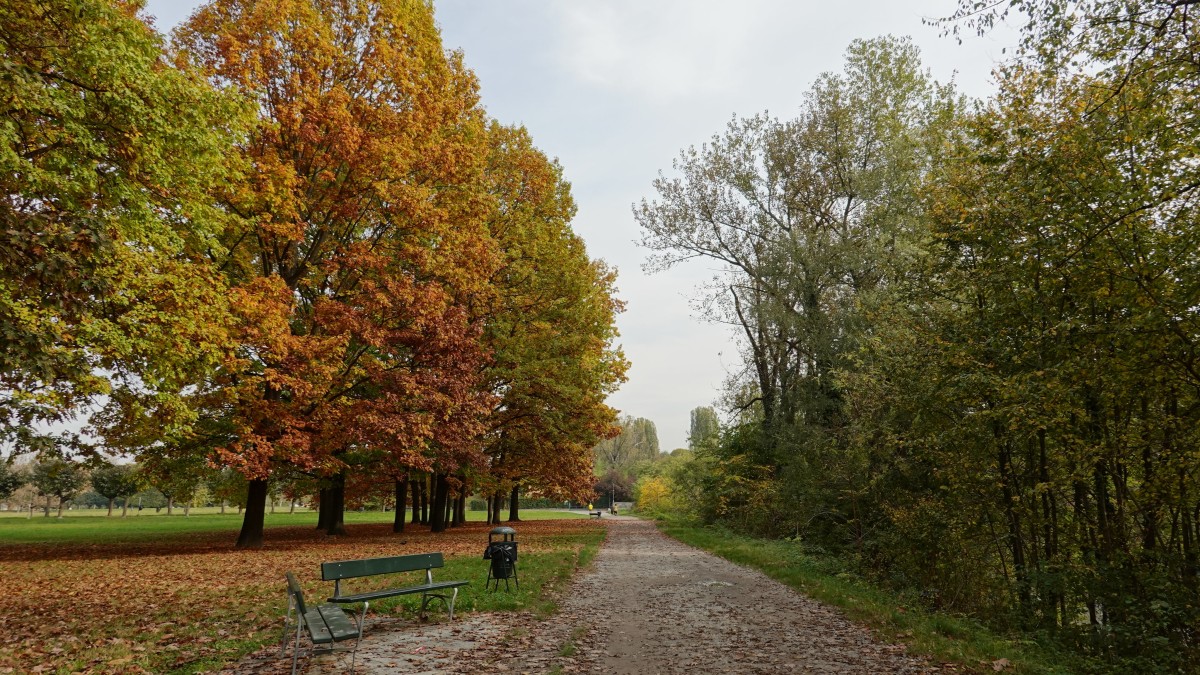 vivere al quartiere parella