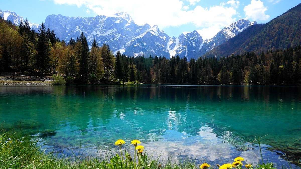 cosa vedere a tarvisio