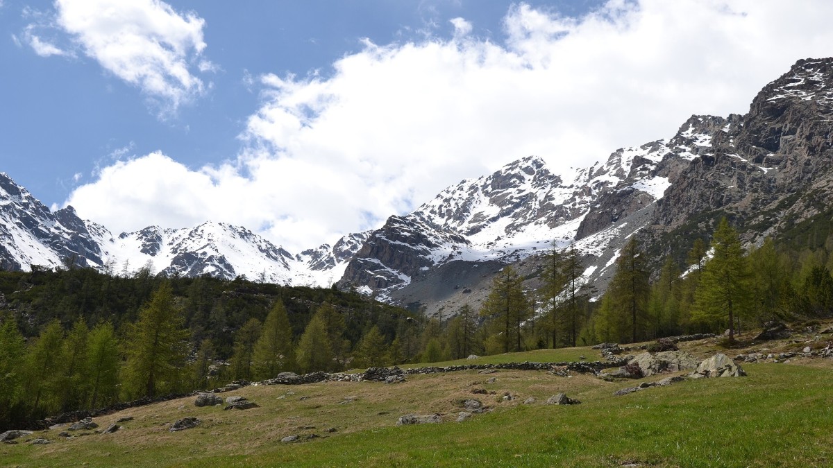 cosa vedere a chiesa in valmalenco