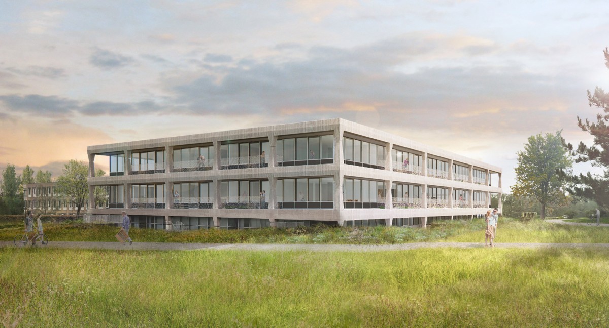 El proyecto se focaliza en pastos re-salvajes sobre céspedes cuidados y plazas ajardinadas en lugar de rotondas.