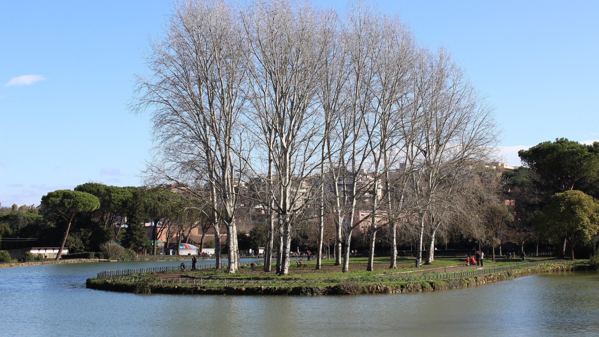 vivere ai parioli