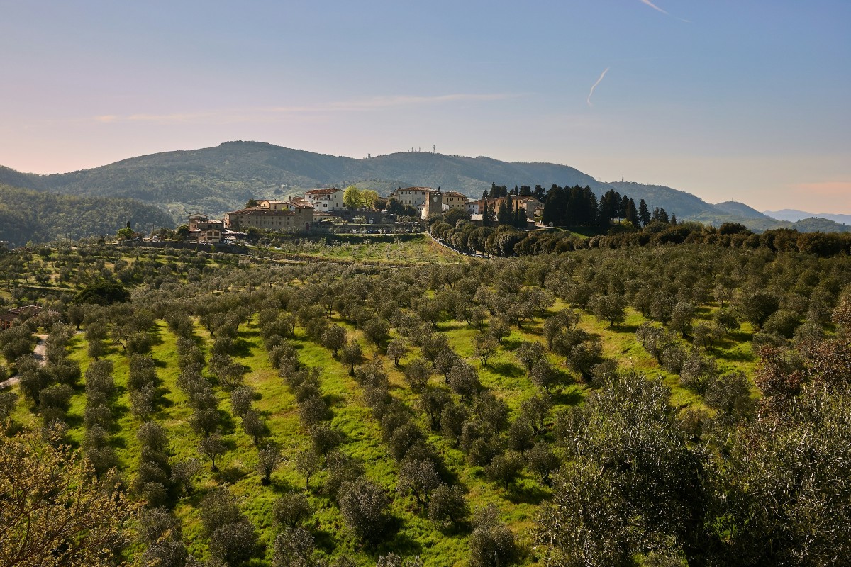 Countryside Italy