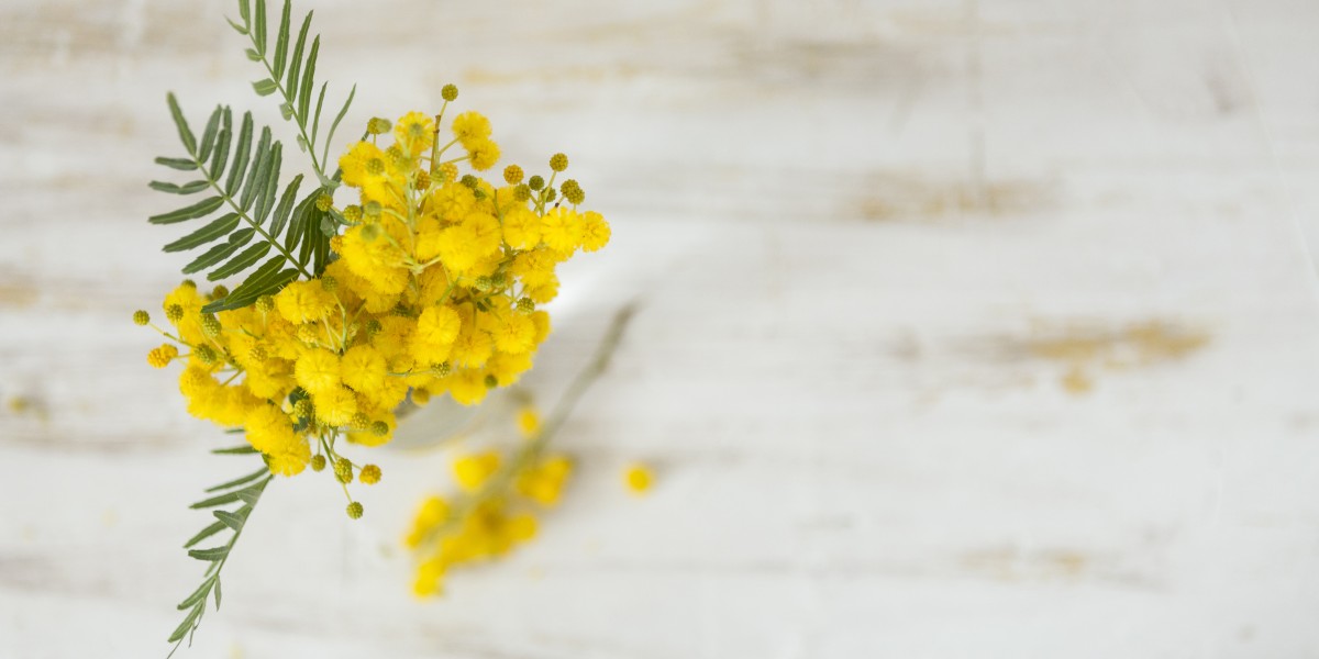decorazioni festa della donna