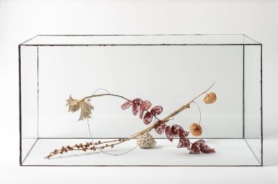 Elisabetta Di Maggio