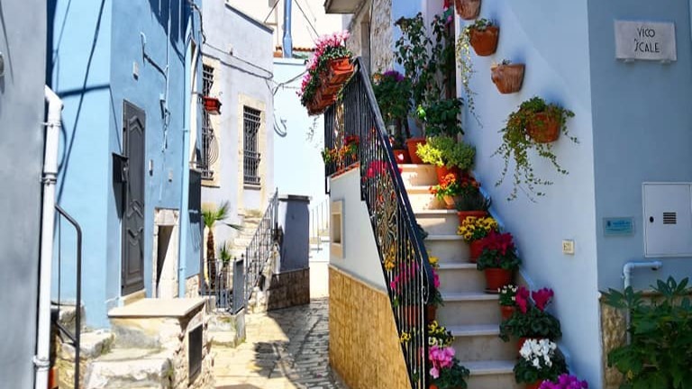cosa vedere a casamassima