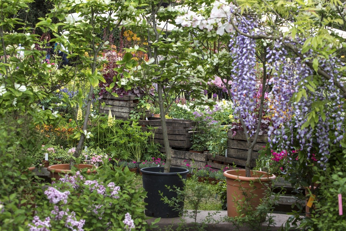 tre giorni per il giardino