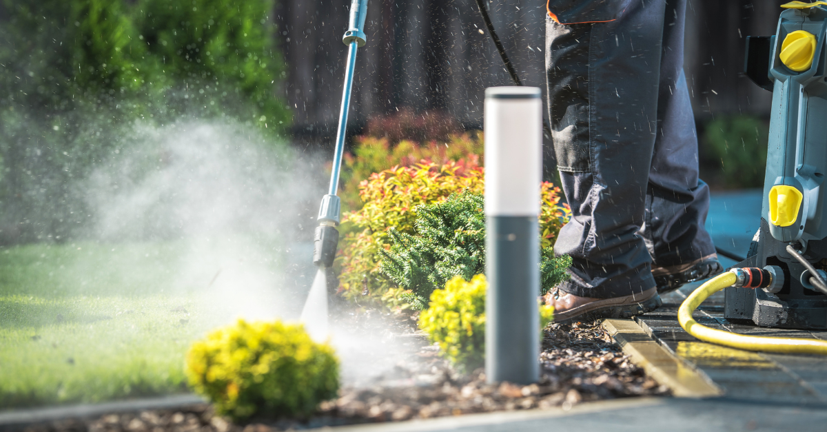 spese disinfestazione condominio