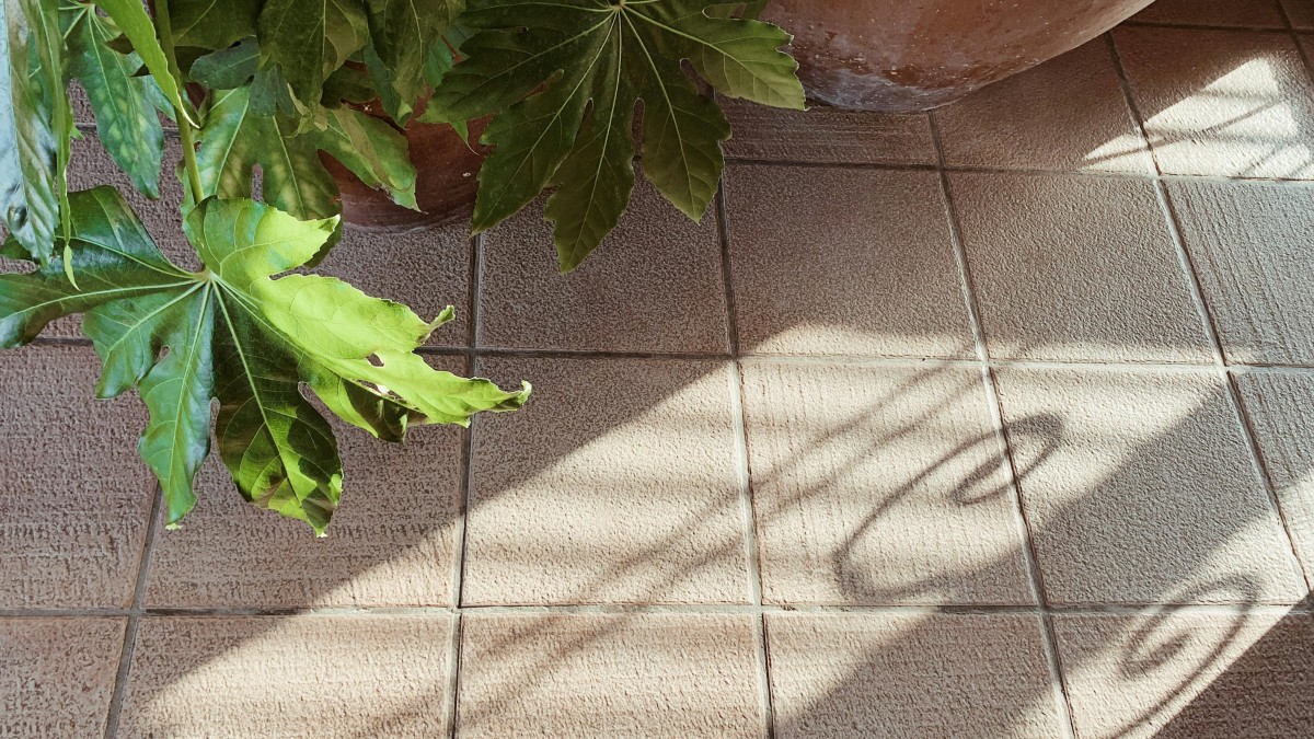 come pulire l'olio dal pavimento