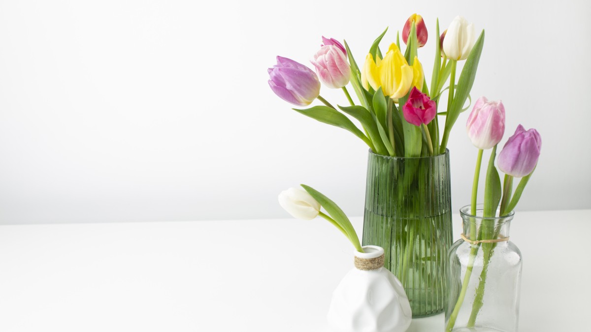 tulipani vaso