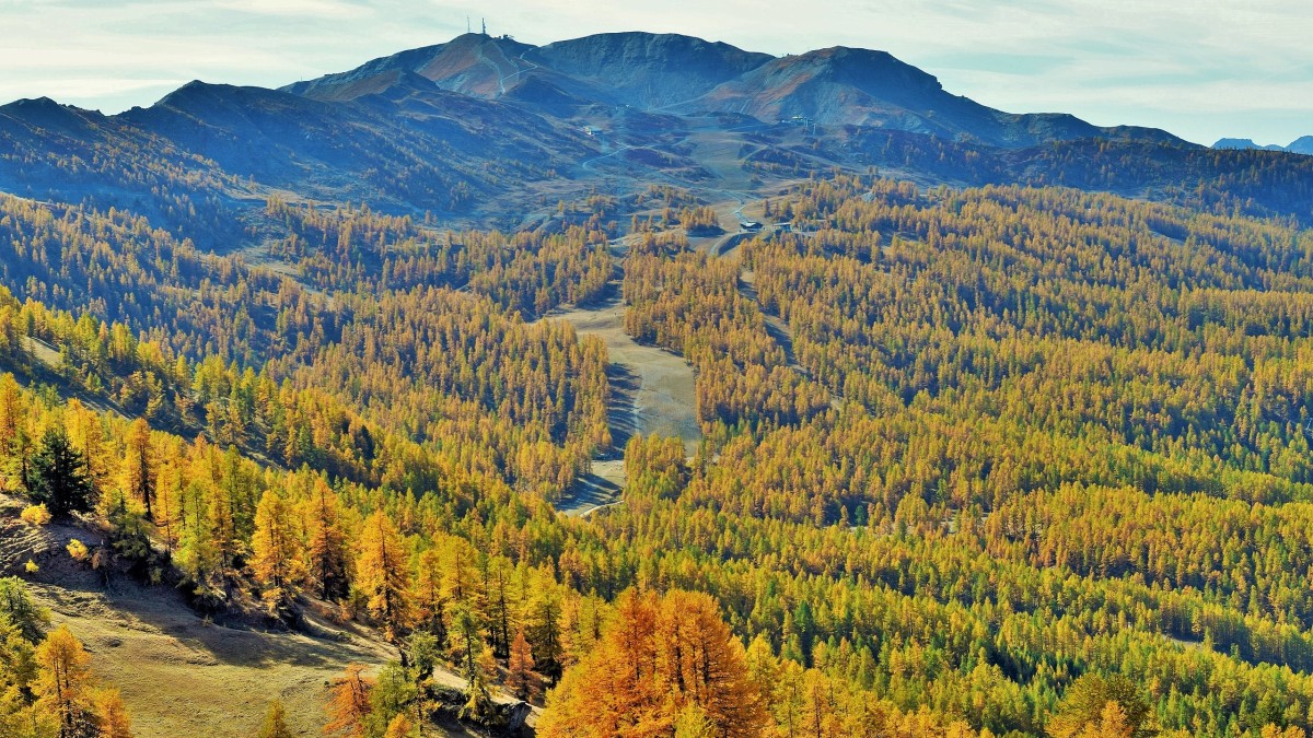 primo maggio piemonte