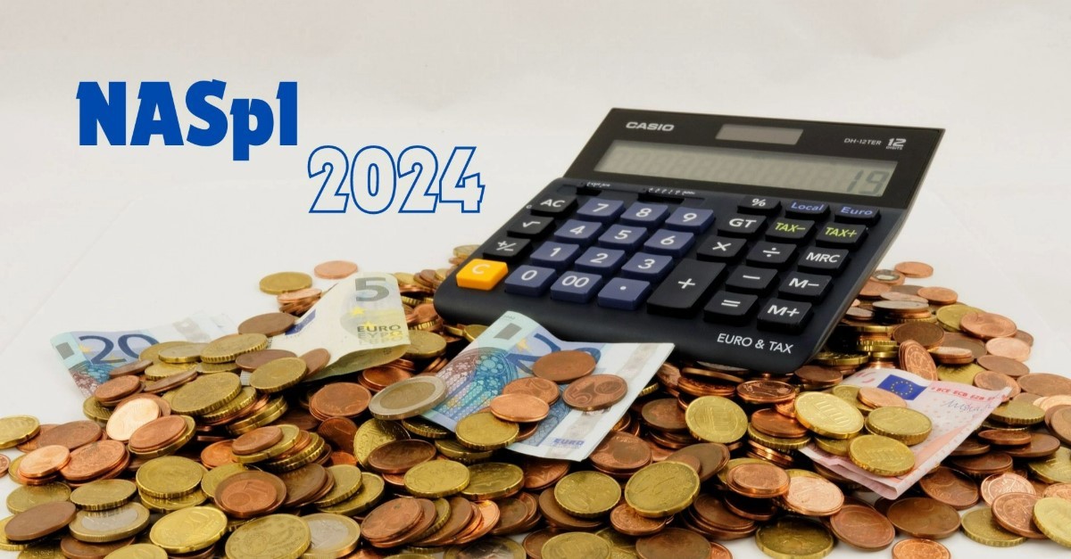 naspi 2024 naspi 2024
