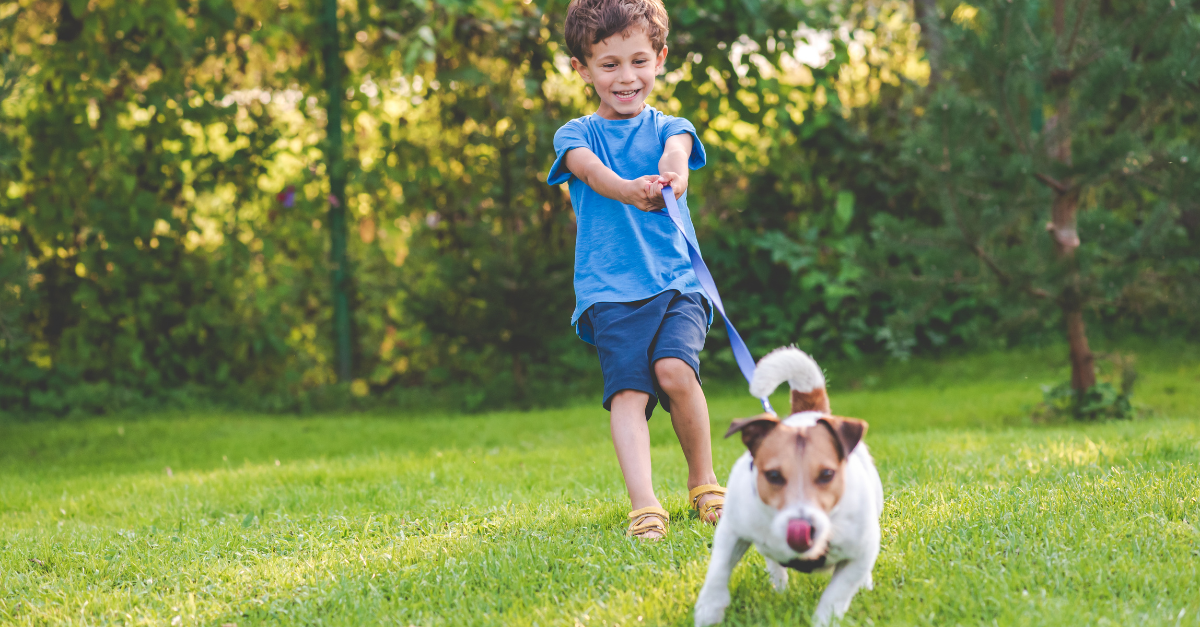 cane in condominio senza guinzaglio