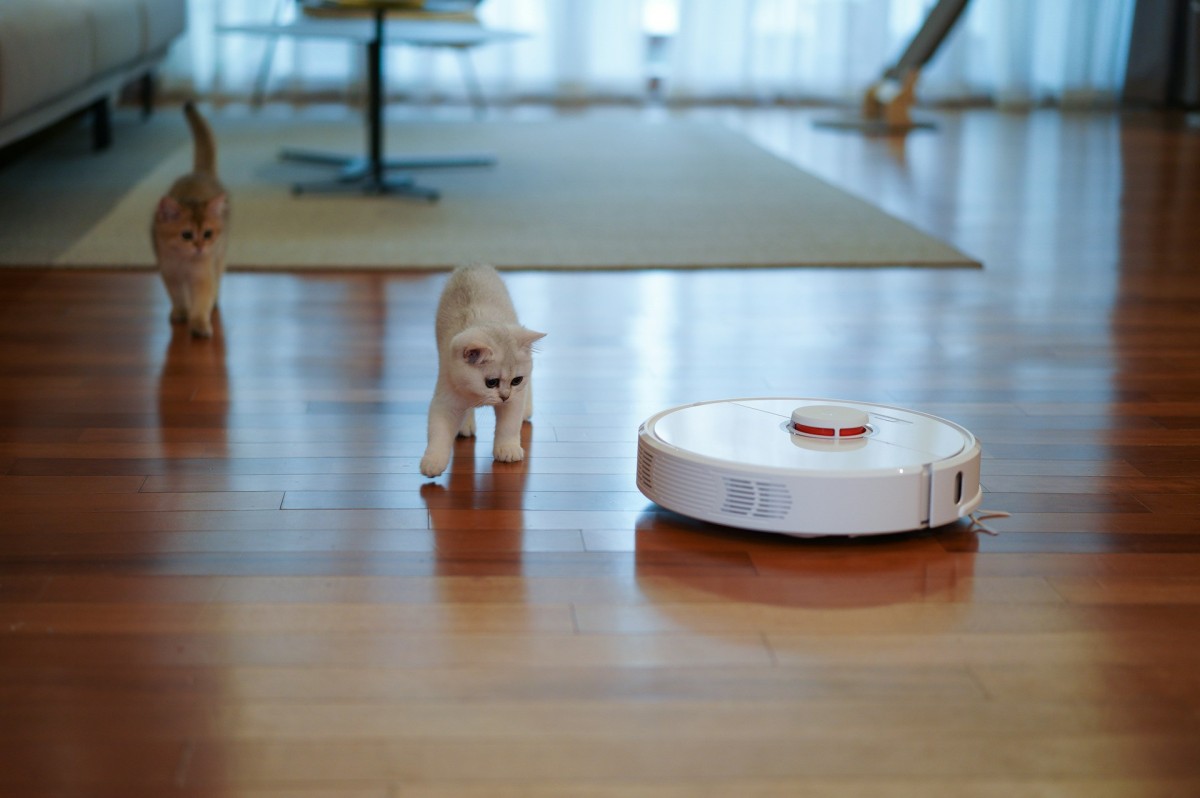 aspirapolvere con animali domestici come gatti