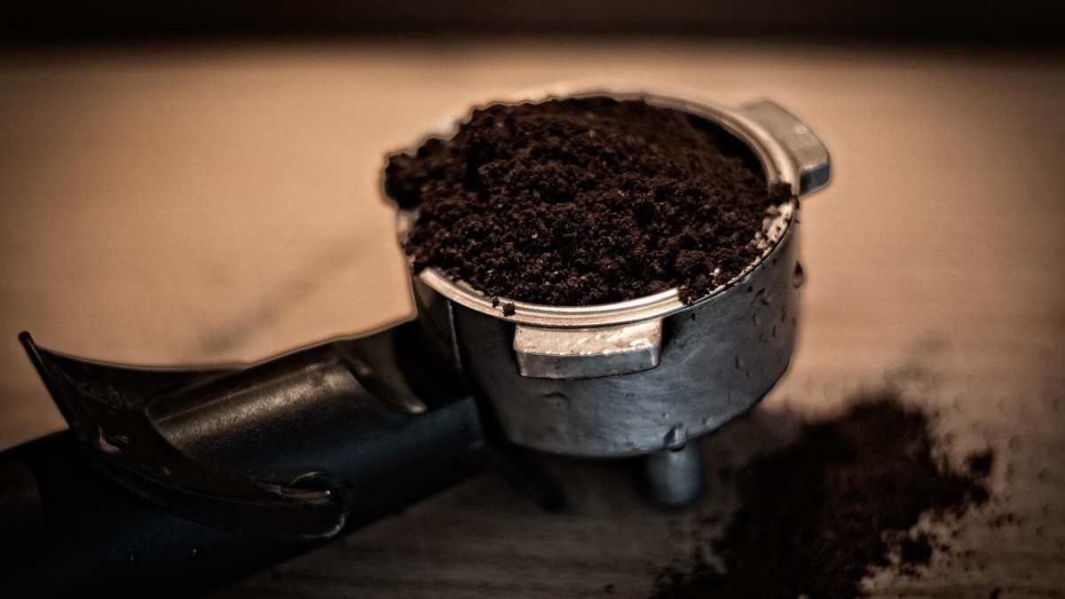 Fondi di caffè come concime per orchidee