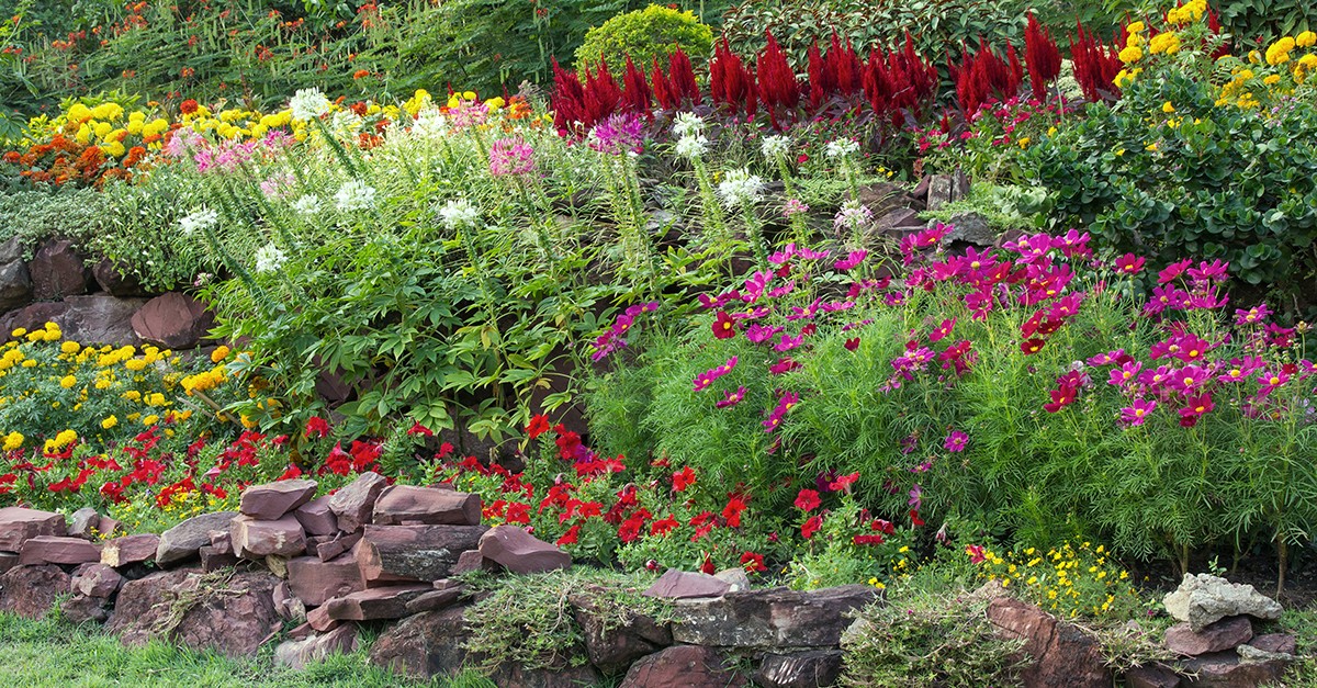 decorare giardino con sassi