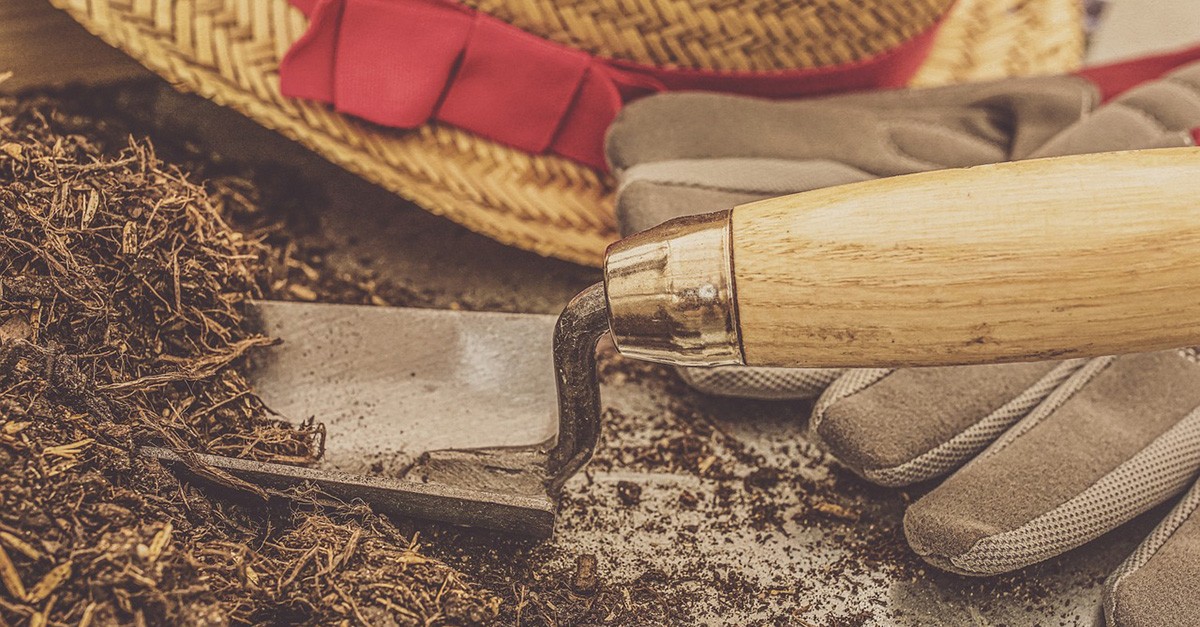 Coltivare nel giardino condominiale