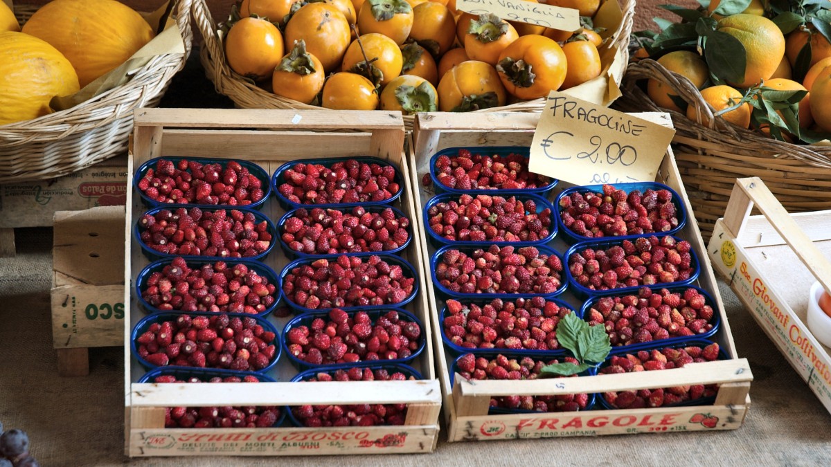 cosa fare a roma il 2 giugno