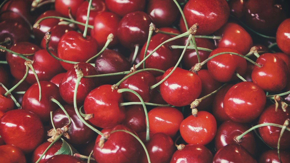 cuscino noccioli ciliegia