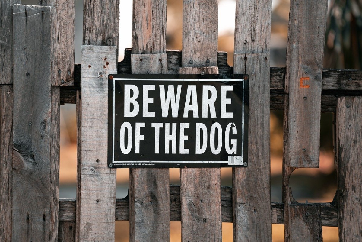 attenti al cane