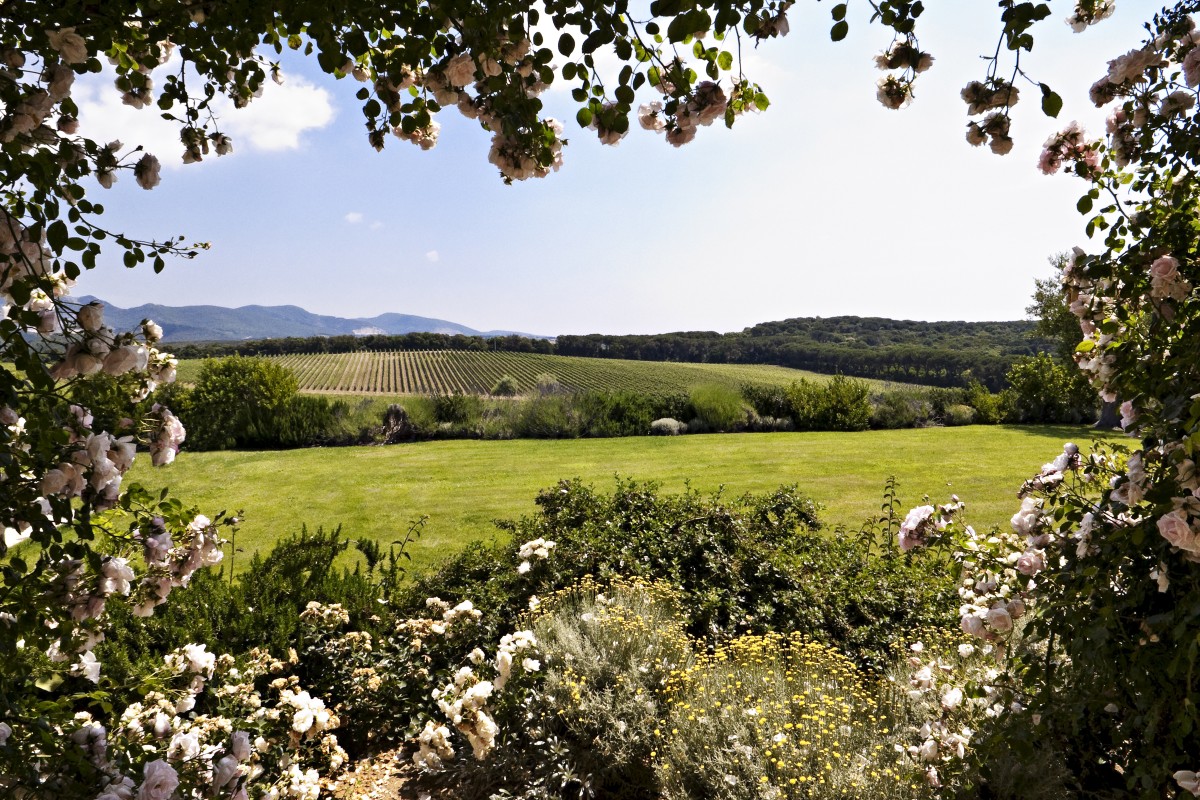 Tenuta Serristori Knight Frank