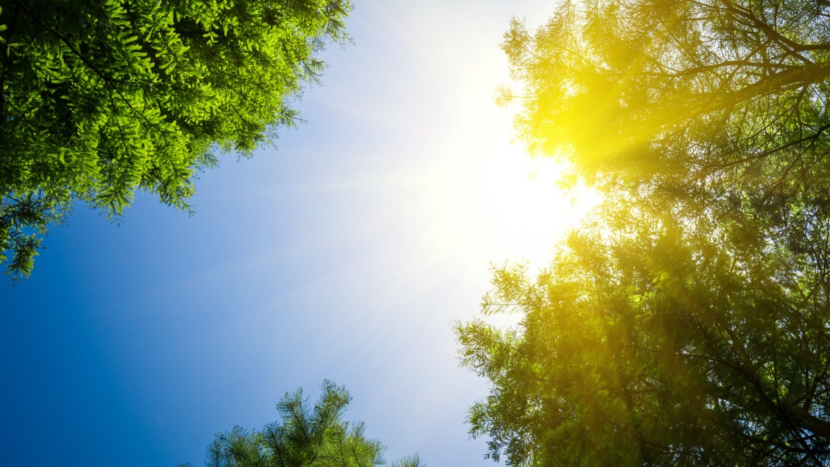 giornata mondiale del sole