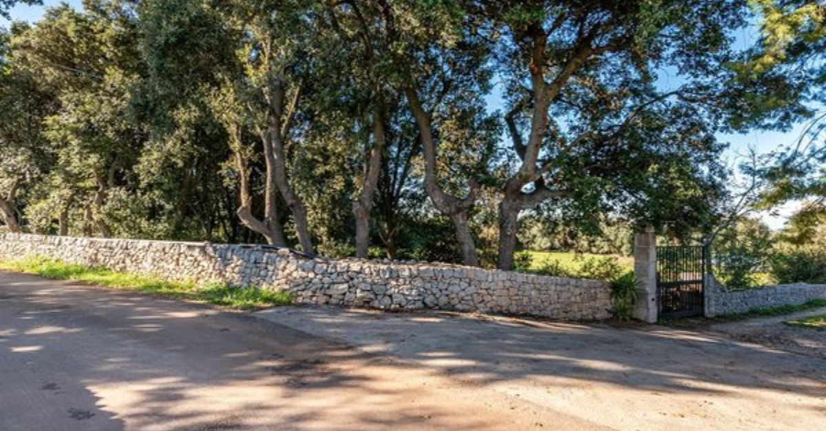 Dove abita Raz Degan