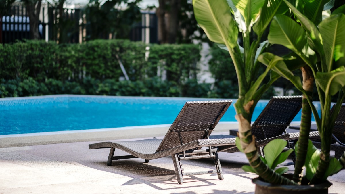 acqua piscina piante