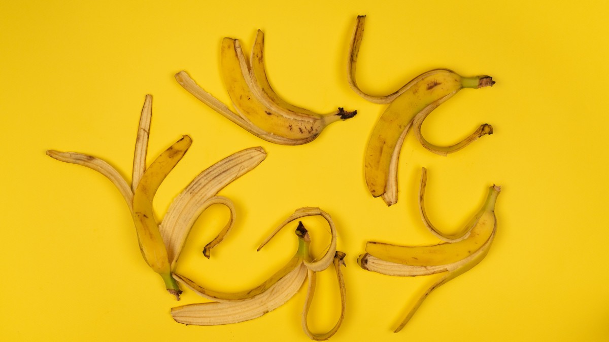 come nutrire il pothos