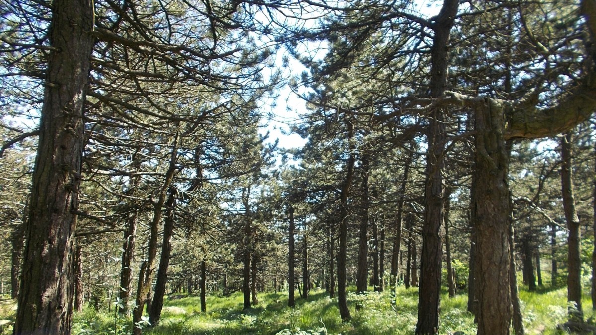 cosa vedere al parco del beigua