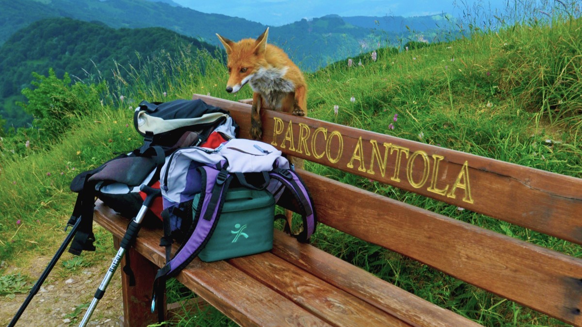 cosa vedere parco dell'antola