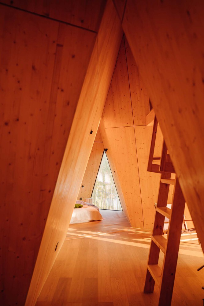 Detalle del interior