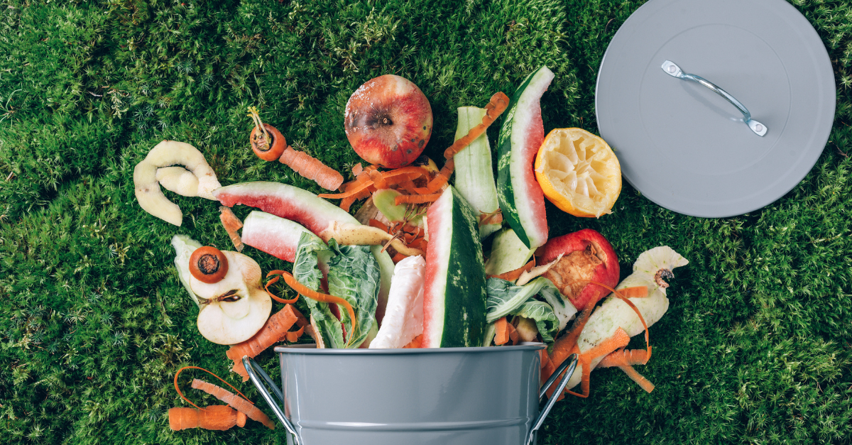 Dove tenere l’umido