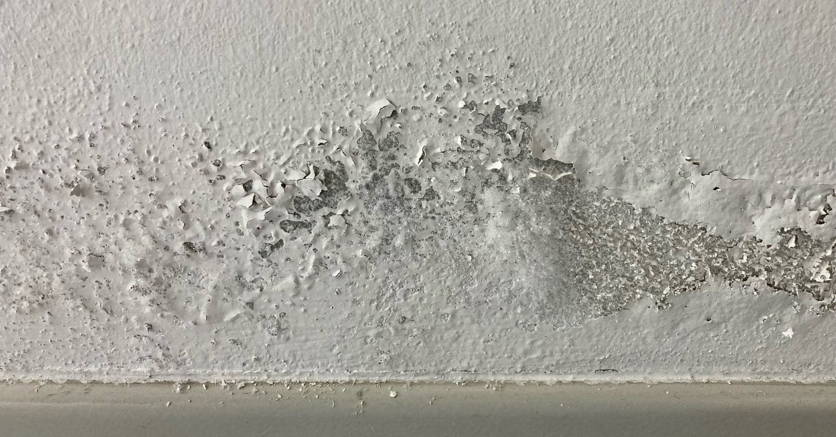 Umidità di risalita