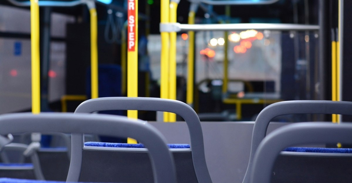 bus bus