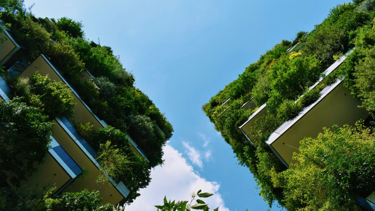 curiosita bosco verticale