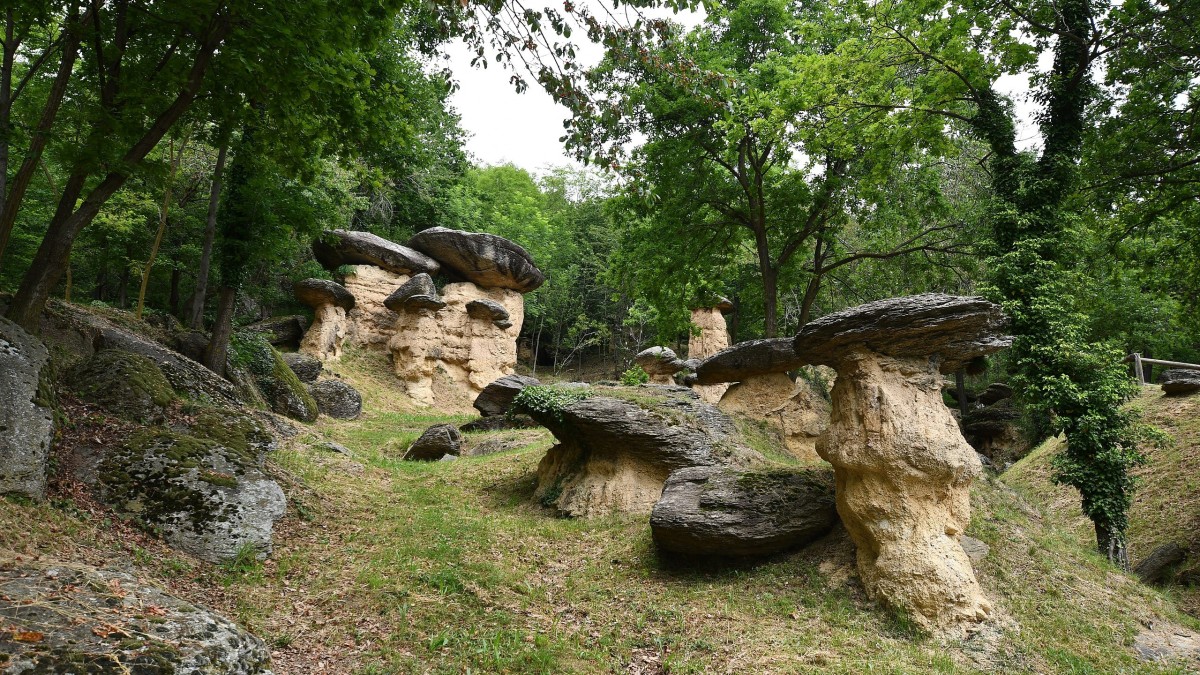 pic nic piemonte bambini