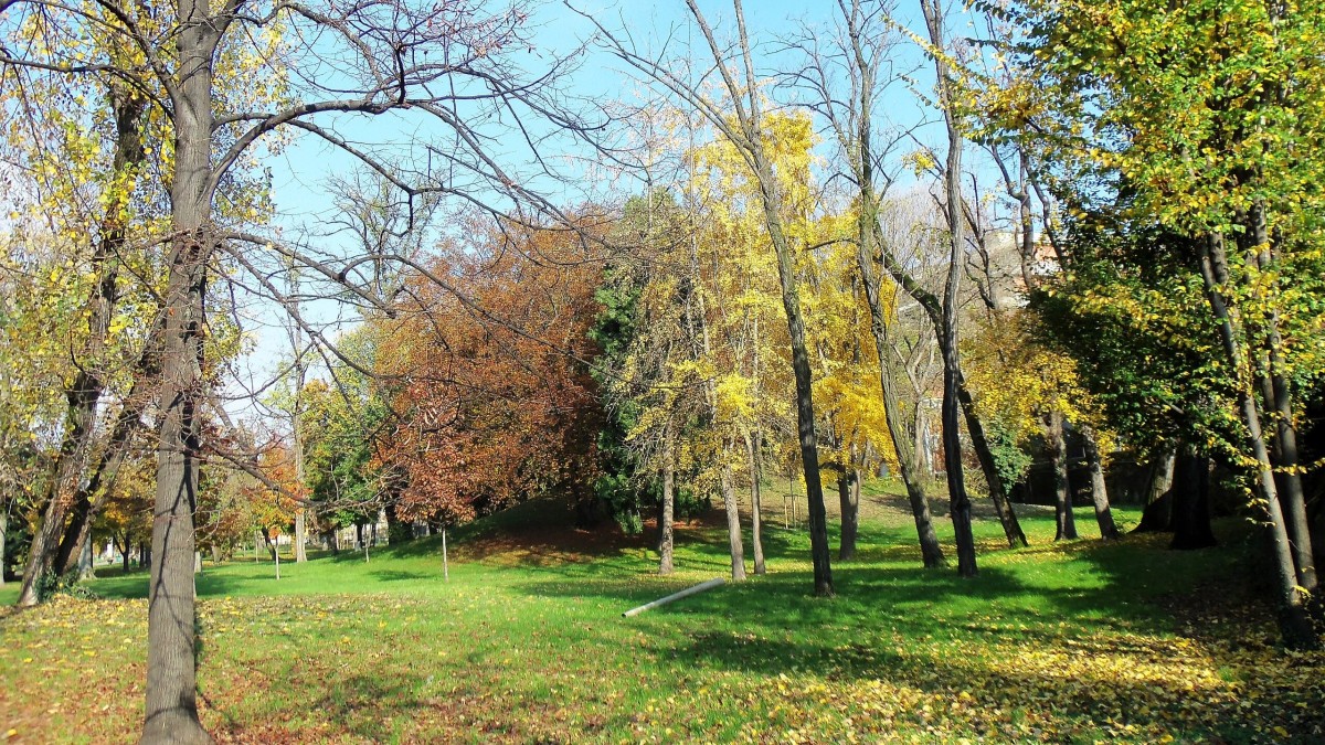 piccola parigi gorla