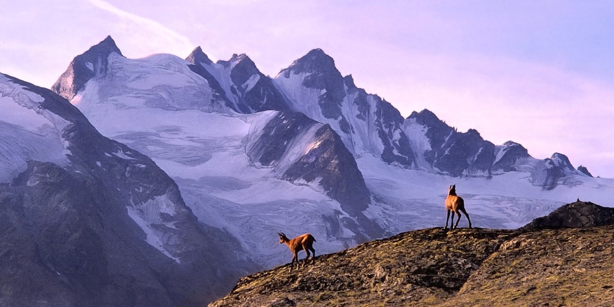montagne val d'aosta