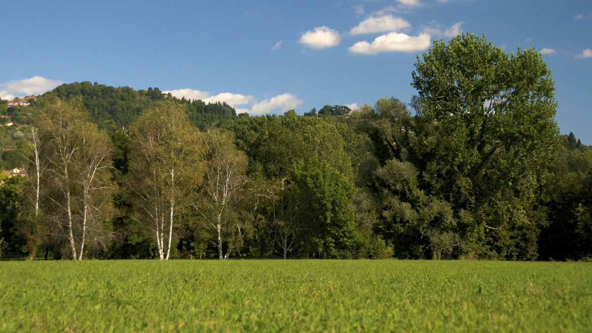 pic nic piemonte bambini