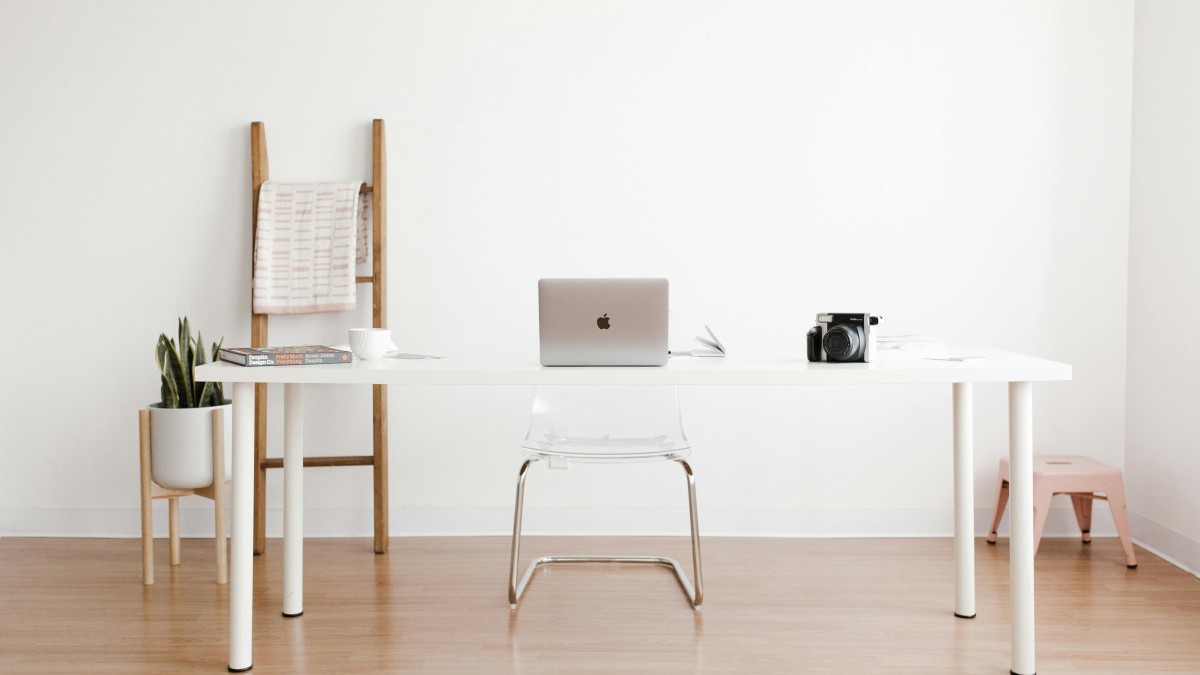 temperature sansevieria