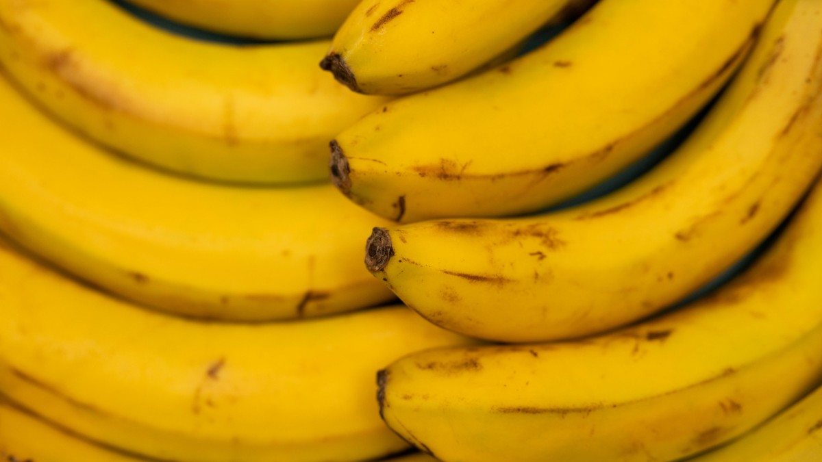 bucce di banana concime