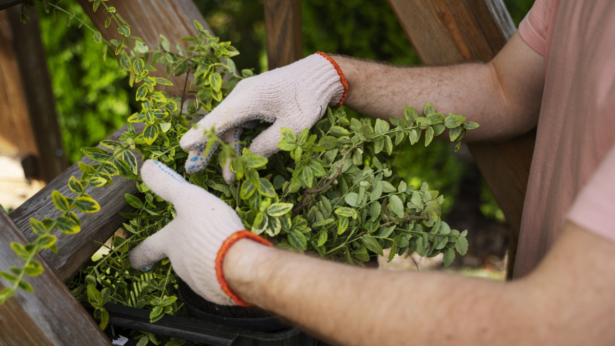 lavori manutenzione casa estate