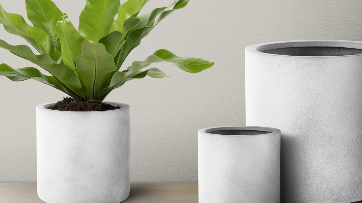 come realizzare vasi fai da te piante