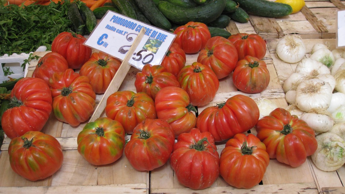 varietà di pomodoro